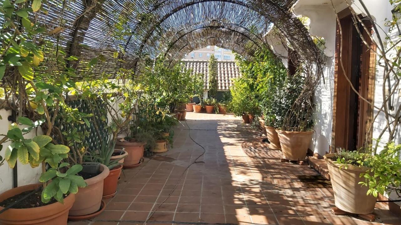 El Jardin De Wallada Cordoba Ngoại thất bức ảnh